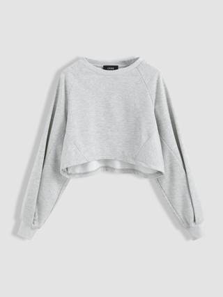 Solid Long Sleeve Crop Sweatshirt Curve & Plus