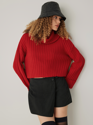 Turtleneck Solid Long Sleeve Crop Sweater