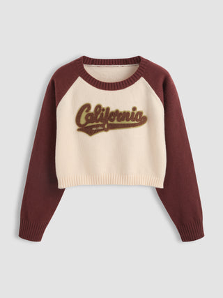 California Two Tone Round Neckline Sweater Curve & Plus