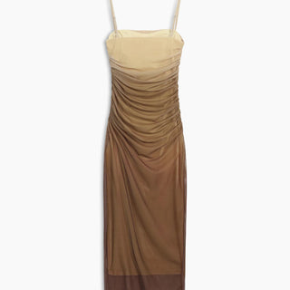 Cappuccino Ombre Mesh Zippered Long Dress