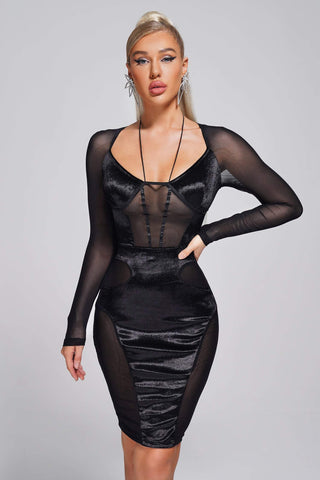 Cecily Mesh Mini Dress (S / Black)