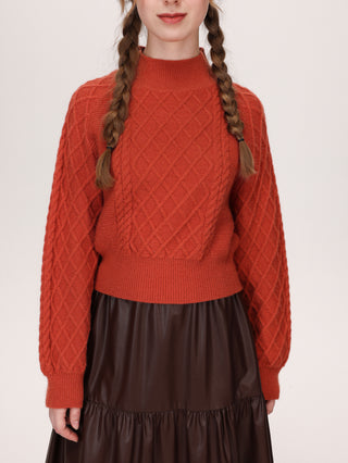 Christmas Solid Cable Knit Sweater