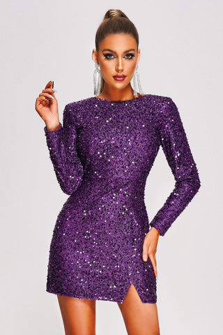 Kani Sequin Mini Dress (S / Purple)