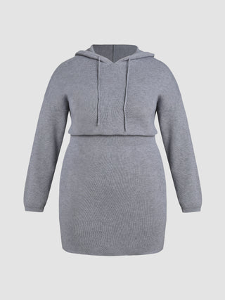 Knit Solid Hooded Dress Curve & Plus (0XL / Grey)