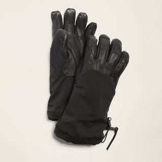 Men's Midmountain Ski Gloves (Black / L)