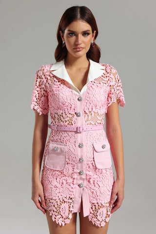 Noma Lace Mini Dress (S / Pink)