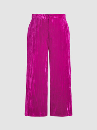 Solid Velvet Straight Leg Trousers Curve & Plus