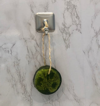 a green moss ball hanging on the wall