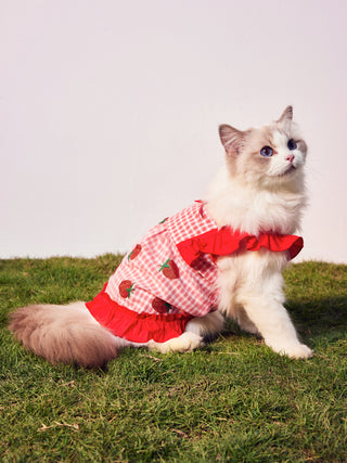 Strawberry Bow Check Pet Clothing