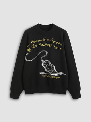 To Roarn The Counge of The Endless Time Graphic Letter Knitted Long Sleeve Top